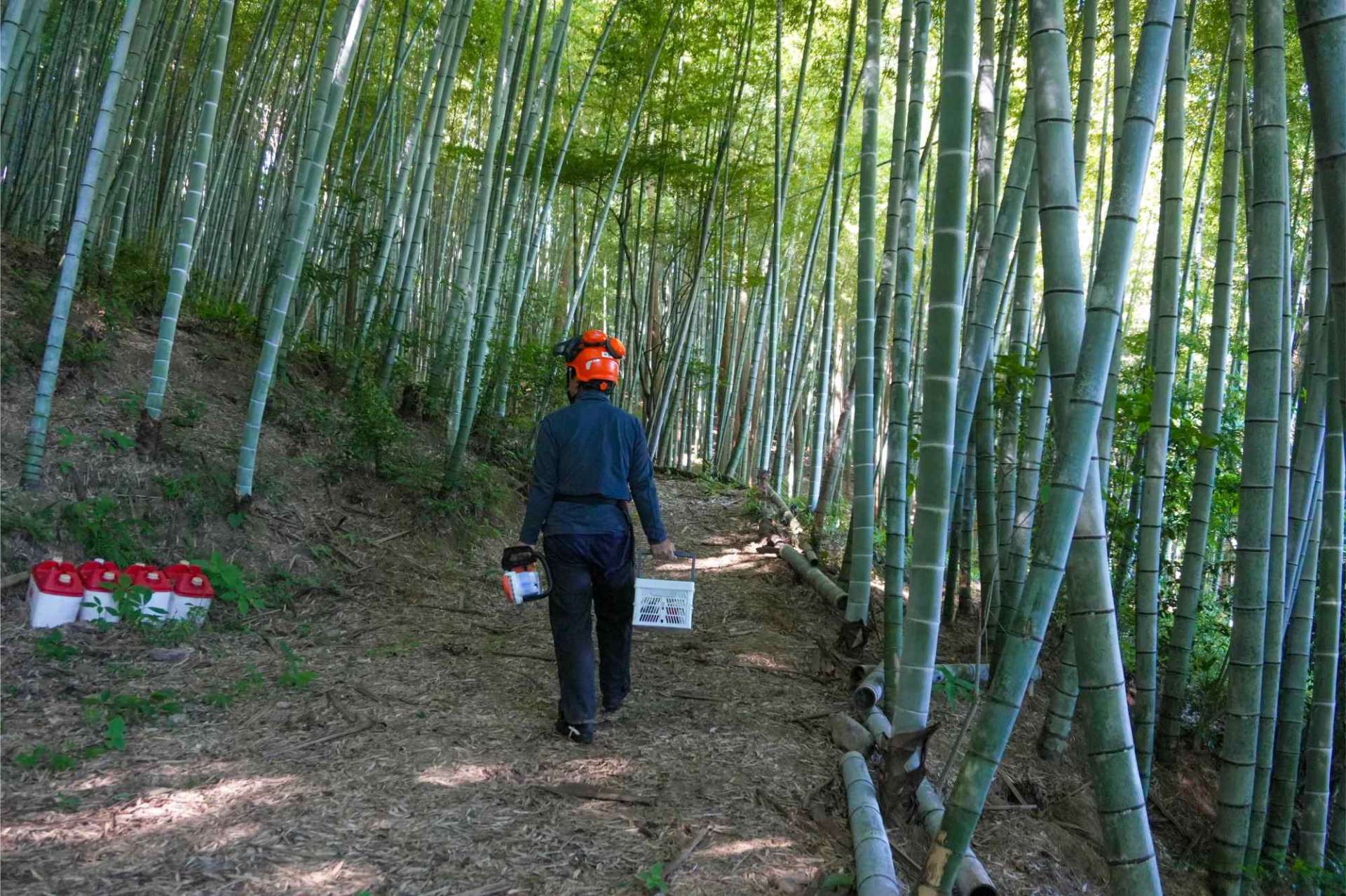 竹財 | 通販のメンマならGreenColors