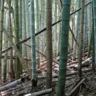 当社の特徴