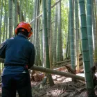 代表あいさつ