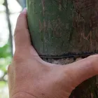 代表あいさつ